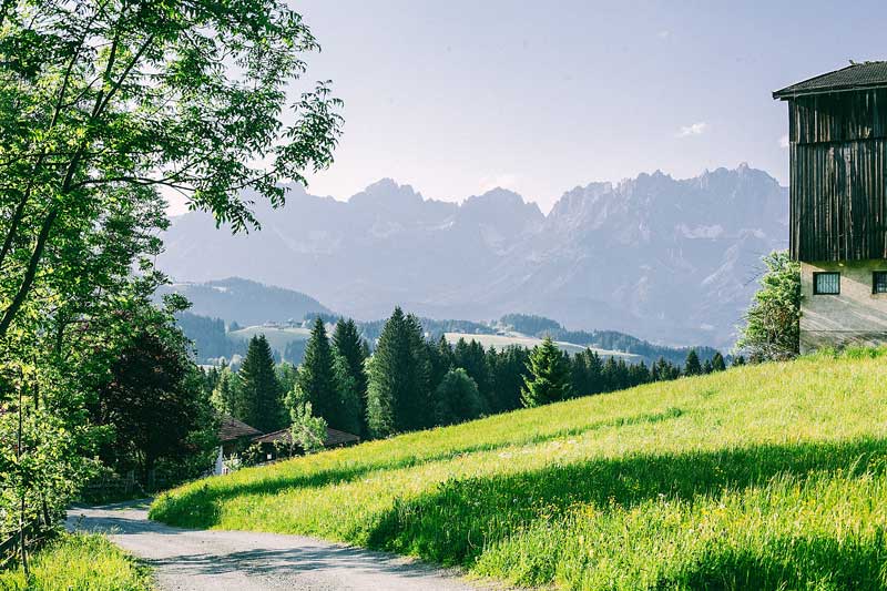 International Forest Day