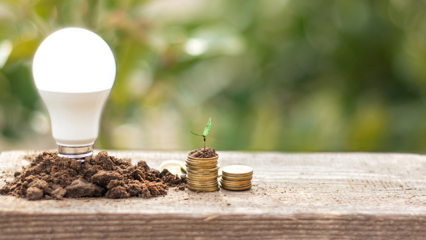 The Economic Impact of Eco Innovations A Comprehensive Guide